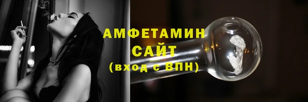 дживик Сосновый Бор