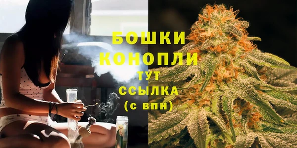 твердый Слюдянка
