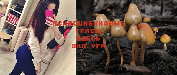 стаф Сосновка