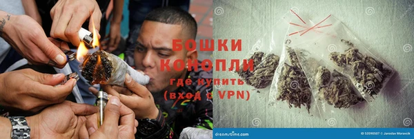 стаф Сосновка