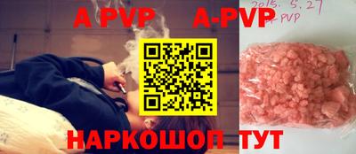 индика Камышлов