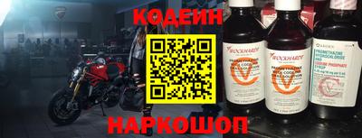 индика Камышлов