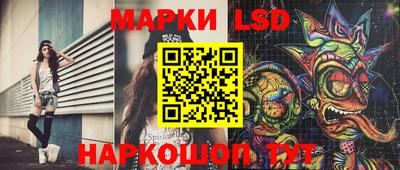 индика Камышлов