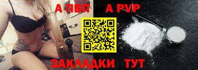 индика Камышлов