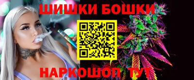 индика Камышлов