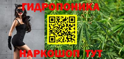 тгк Кандалакша