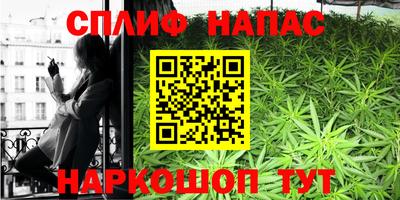 индика Камышлов