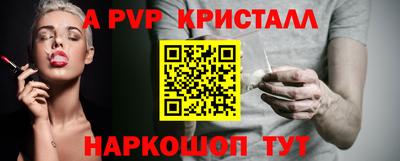 индика Камышлов