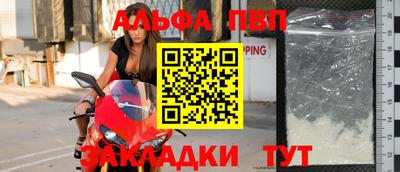 индика Камышлов