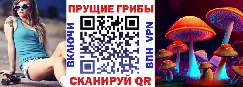 Псилоцибиновые грибы прущие грибы  Тавда 