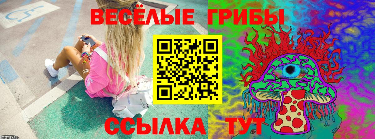 Галлюциногенные грибы MAGIC MUSHROOMS  Псилоцибиновые грибы MAGIC MUSHROOMS  Вход с VPN  Тавда 