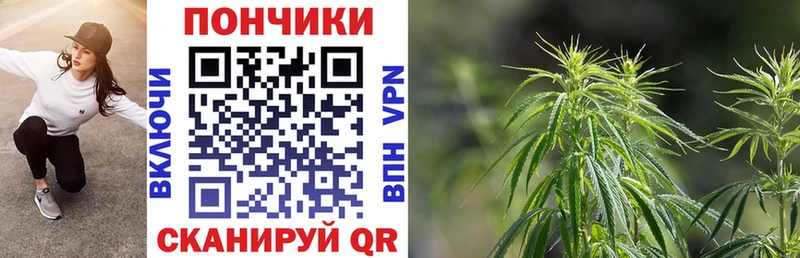 Конопля VHQ  где продают наркотики  Тавда 